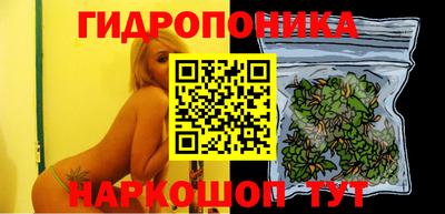 сатива Кунгур
